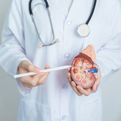 Precio de consulta de Tratamiento de la incontinencia urinaria de la mujer con ondas de choque en Ambato Ecuador